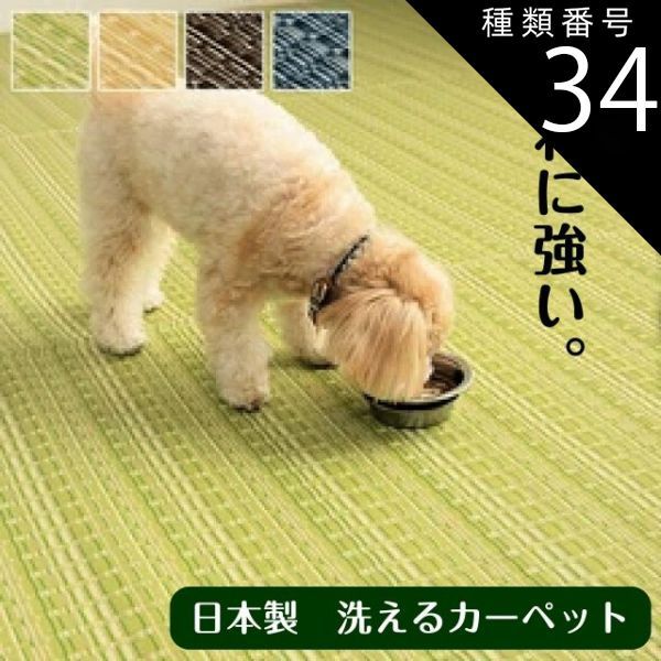 ストア Neko0113様専用・変身サイボーグ1号 変身セット 仮面ライダーX