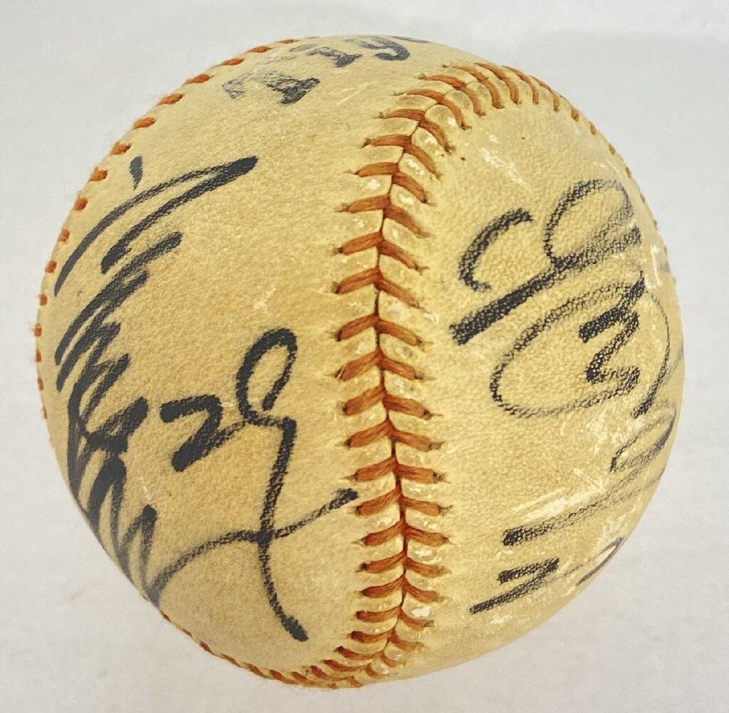 田淵 幸一 直筆 サイン 西武 阪神 阪神タイガース 田淵幸一・江本孟紀 直筆寄書きサインボール - メルカリ