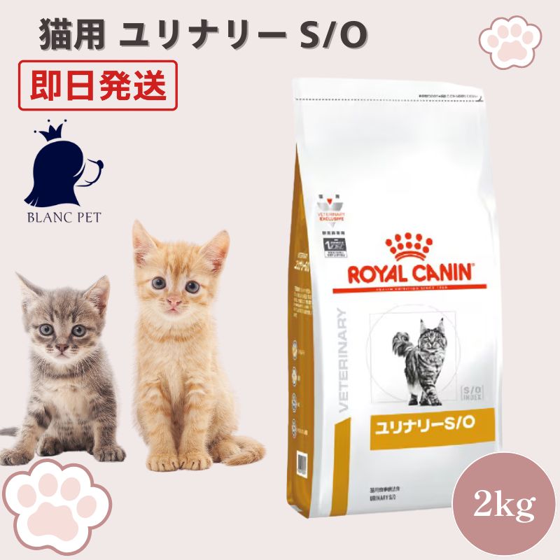 猫用品 ロイヤルカナン ユリナリーS/O +CLT 猫用 2kg 1袋