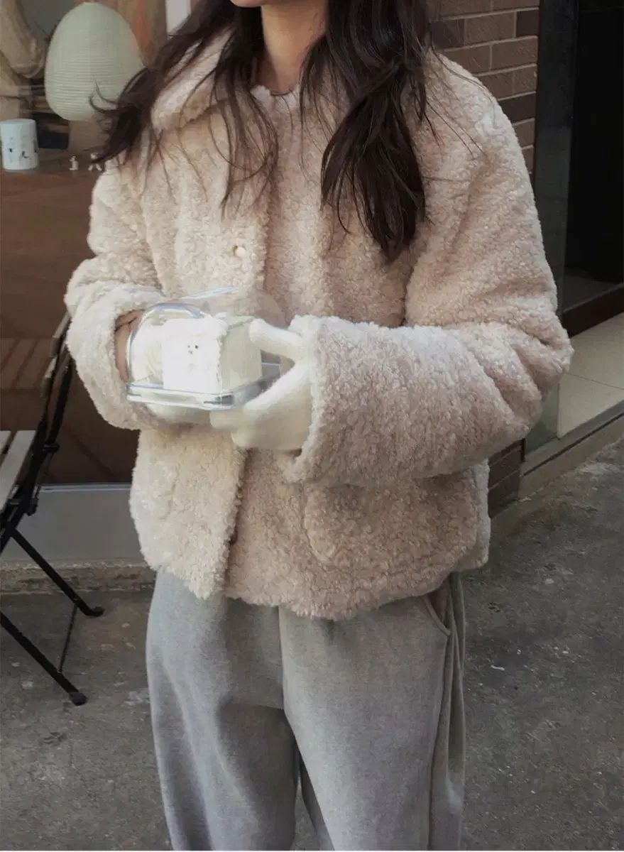 アイルランド・ゲール語辞典 大学書林