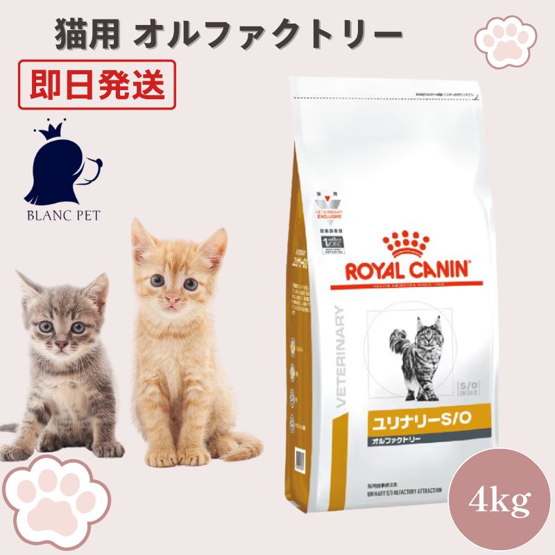 療法食専門店】 ロイヤルカナン 猫 ユリナリー S/O オルファクトリー 