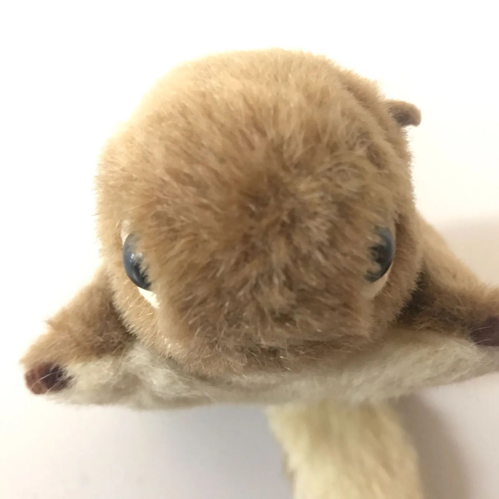 〇エゾモモンガ ぬいぐるみ やまね工房 - メルカリ