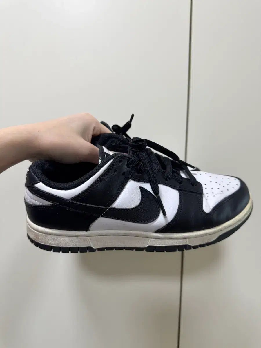 杉江左近作・常滑焼急須 ショップ 木製箱入り 杉江左近作・常滑焼急須