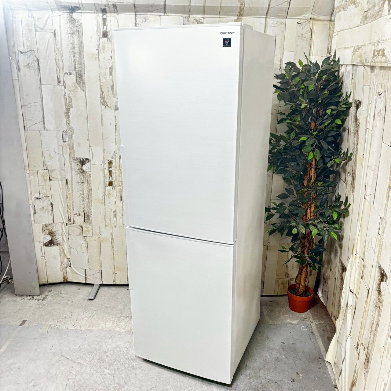 2021年製】SHARP シャープ SJ-AK31G-W ノンフロン冷凍冷蔵庫 310L FF47