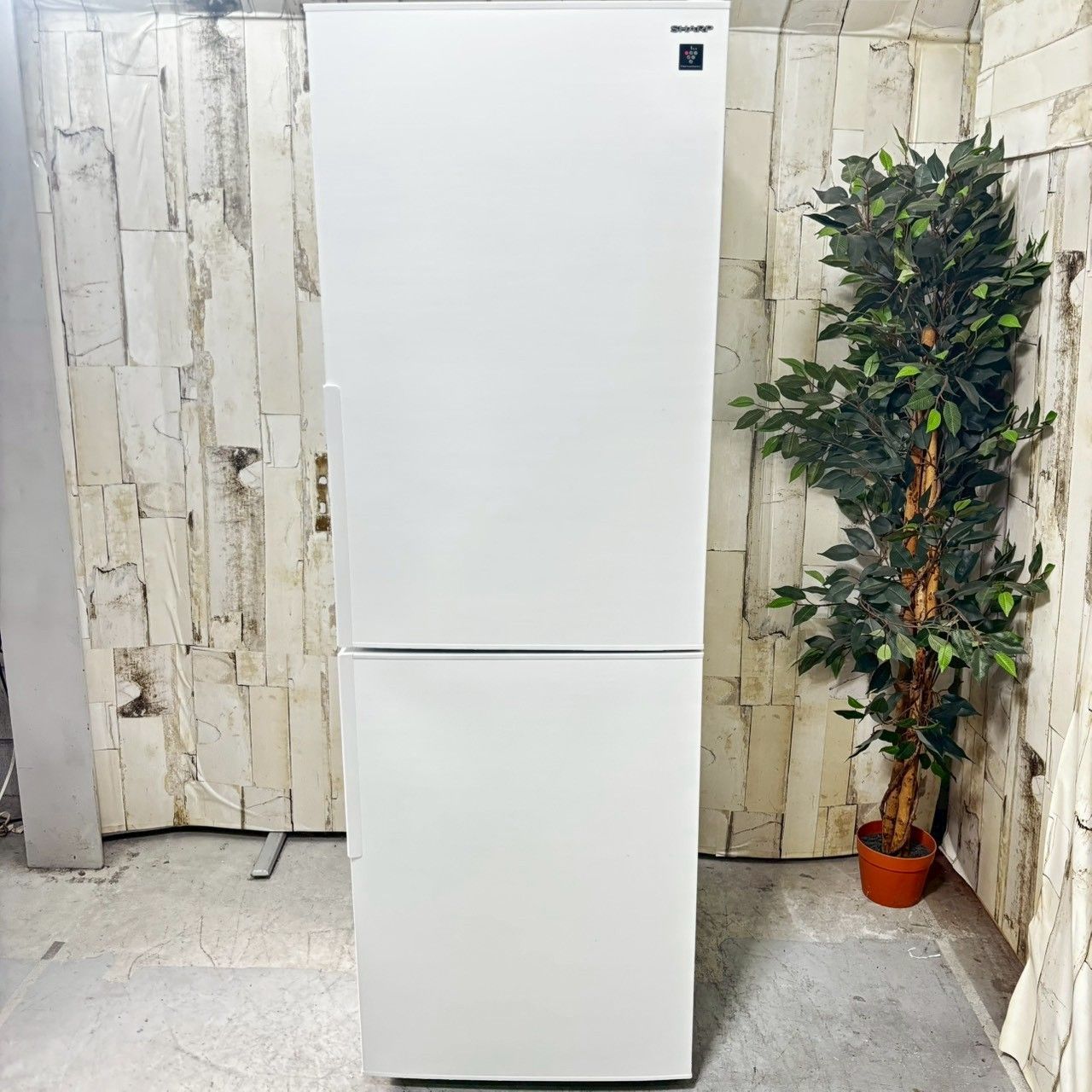 2021年製】SHARP シャープ SJ-AK31G-W ノンフロン冷凍冷蔵庫 310L FF47