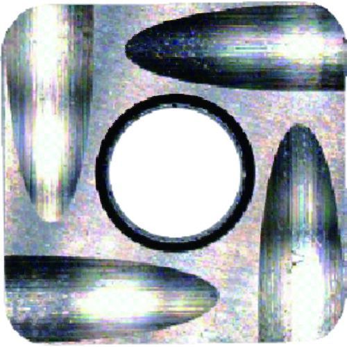 富士元　フェイス加工用Ｓタイプ精密級チップ　ＮＫ２００１ 12個セット