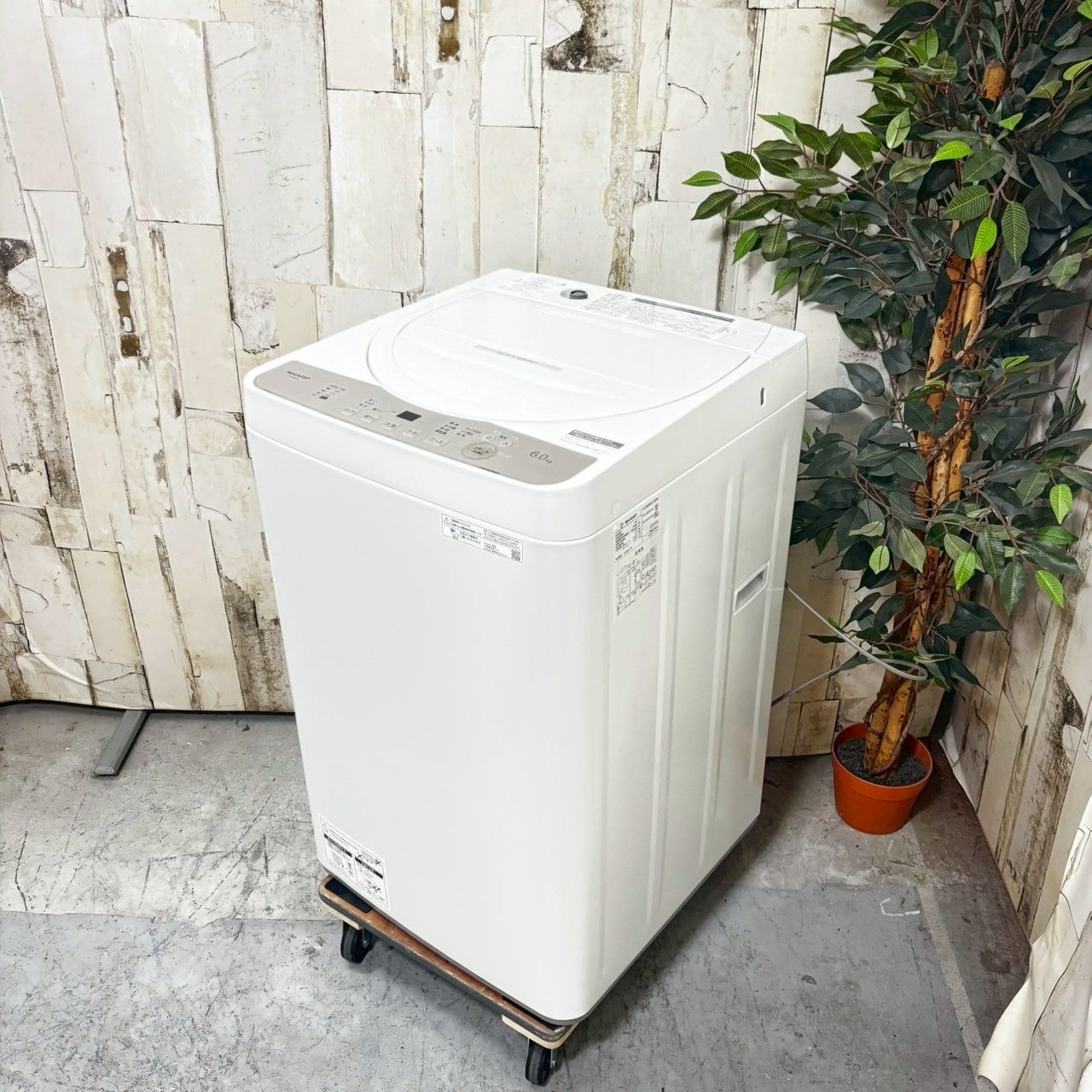 確認待ち【2024年製】 SHARP シャープ ES-GE6H-N 洗濯機 6.0kg RT161