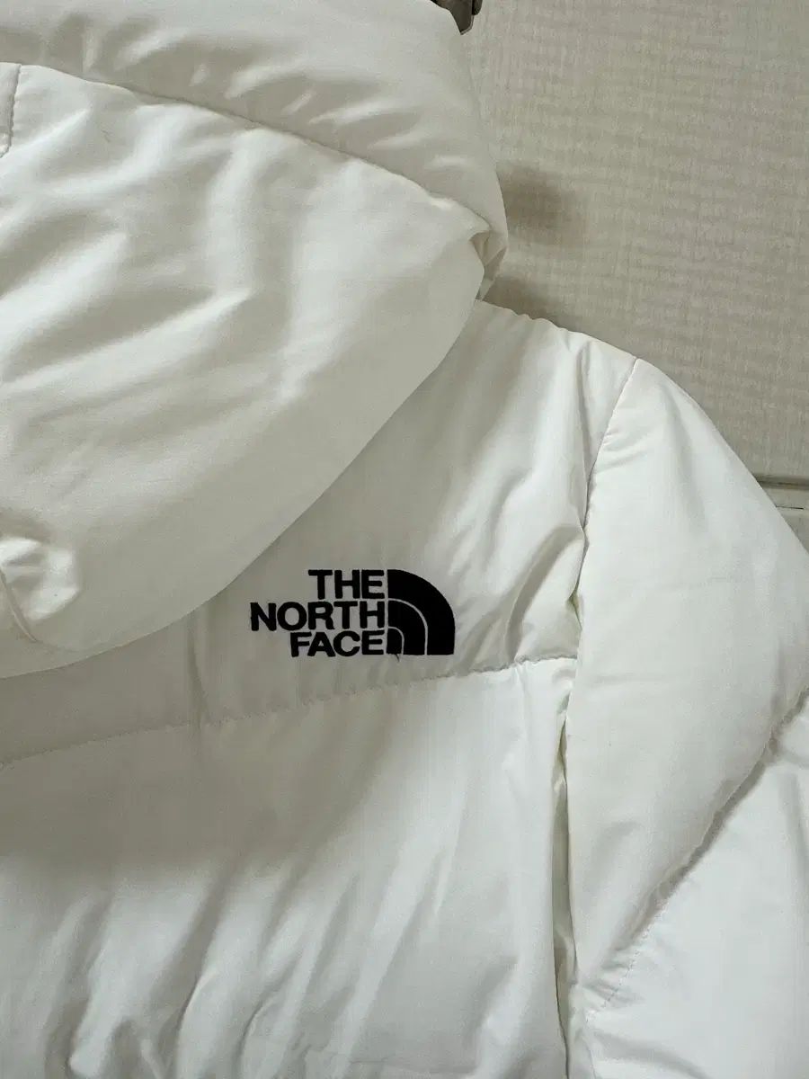 THE NORTH FACE ホワイトラベル アルカン EX オンボール ロングダウン