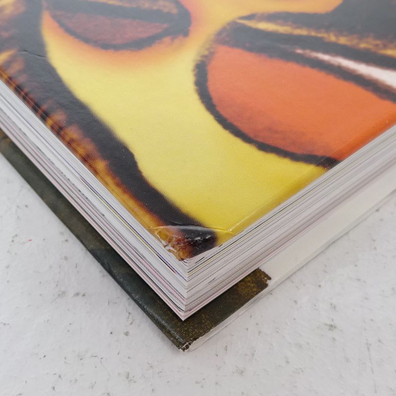 三重店】The Birth of Rockin' Jelly Bean ロッキン・ジェリービーン