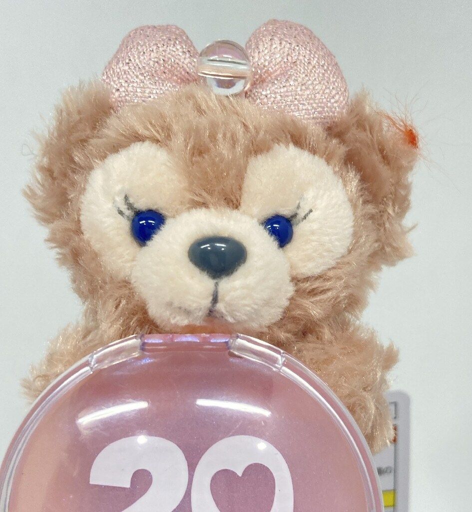 シェリーメイ、クッキー・アンに会える！東京ディズニーシー