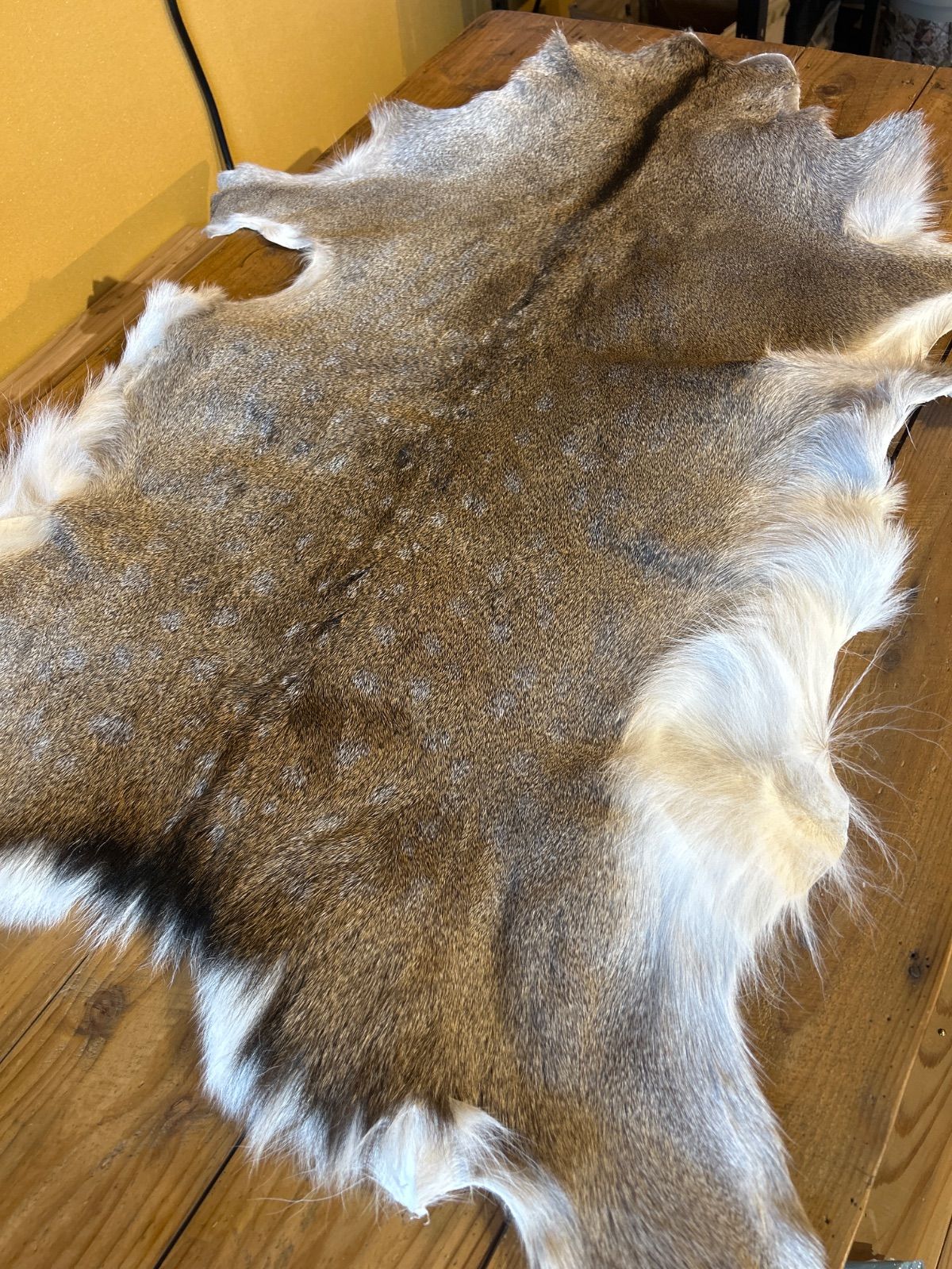 鹿の毛皮 ラグ敷物 毛革 鹿革 鹿3 - メルカリ