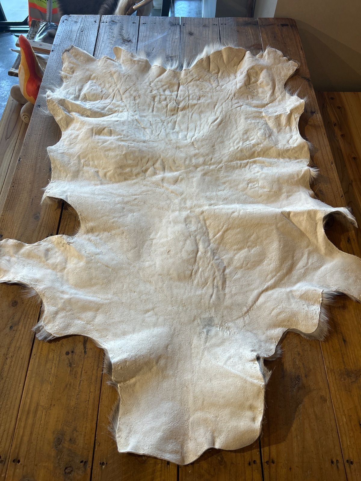 鹿の毛皮 ラグ敷物 毛革 鹿革 鹿3 - メルカリ