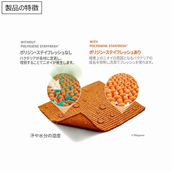 ザ ノースフェイス THE NORTH FACE ドライドットアンビションジャケット DRY DOT AMBITN JACKET ザ ノースフェイス THE NORTH FACE ドライドットアンビションジャケット DRY DOT AMBITN JACKET