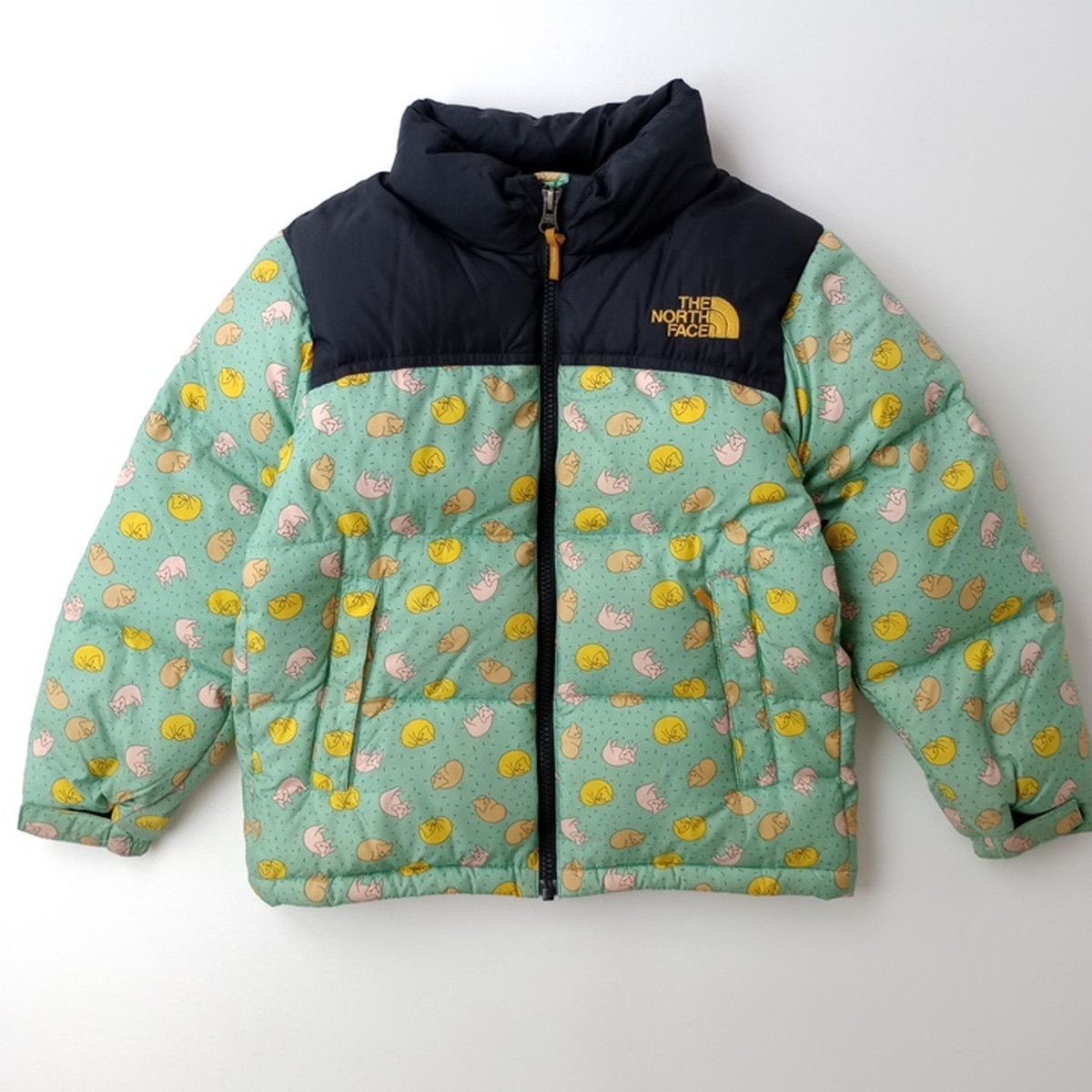 【希少】ノースフェイス× mina perhonenコラボ　ヌプシ　ダウン　L ザ・ノース・フェイス×ミナ ペルホネン、ダウン＆フリースジャケット