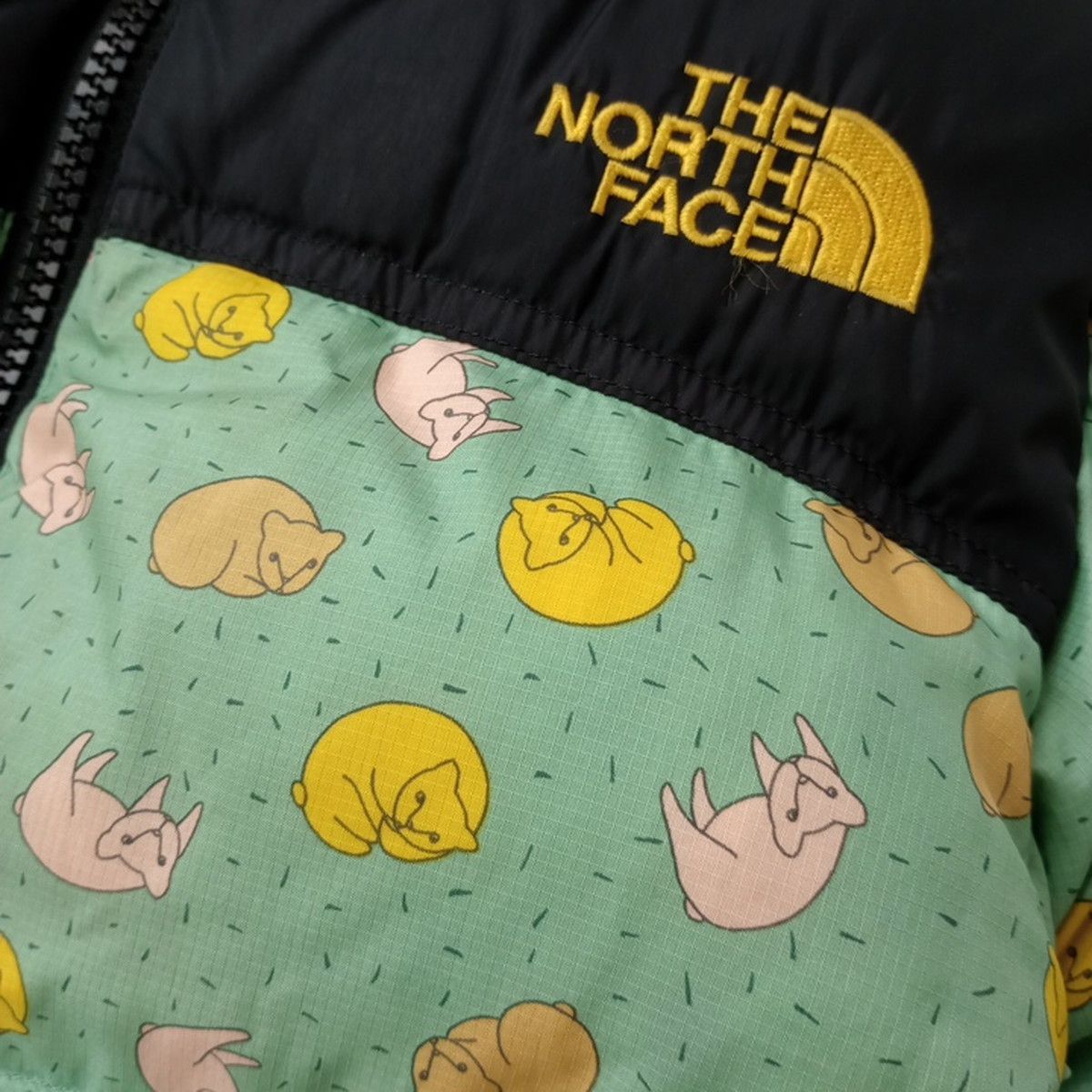 mina perhonen ミナペルホネン THE NORTH FACE ザ・ノースフェイス