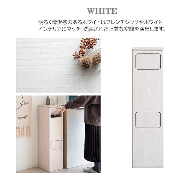 宮武製作所 ミヤタケセイサクジョ 2段プッシュダストボックス Empro