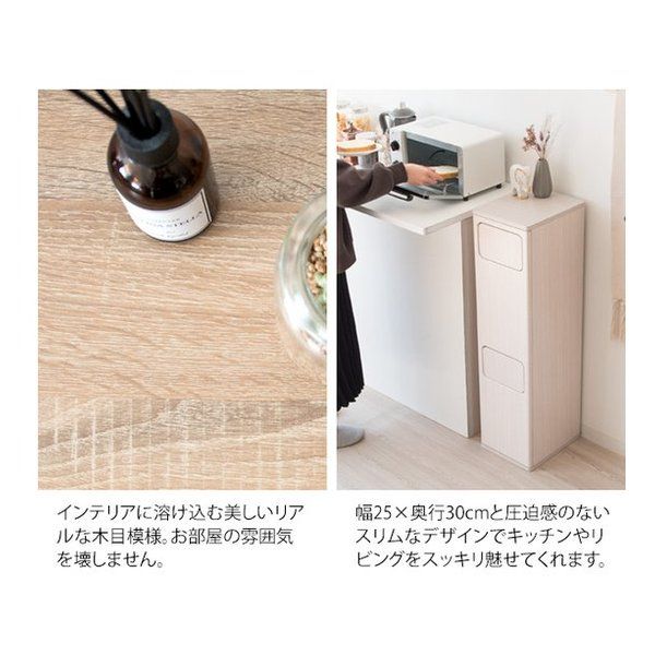 宮武製作所 ミヤタケセイサクジョ 2段プッシュダストボックス Empro