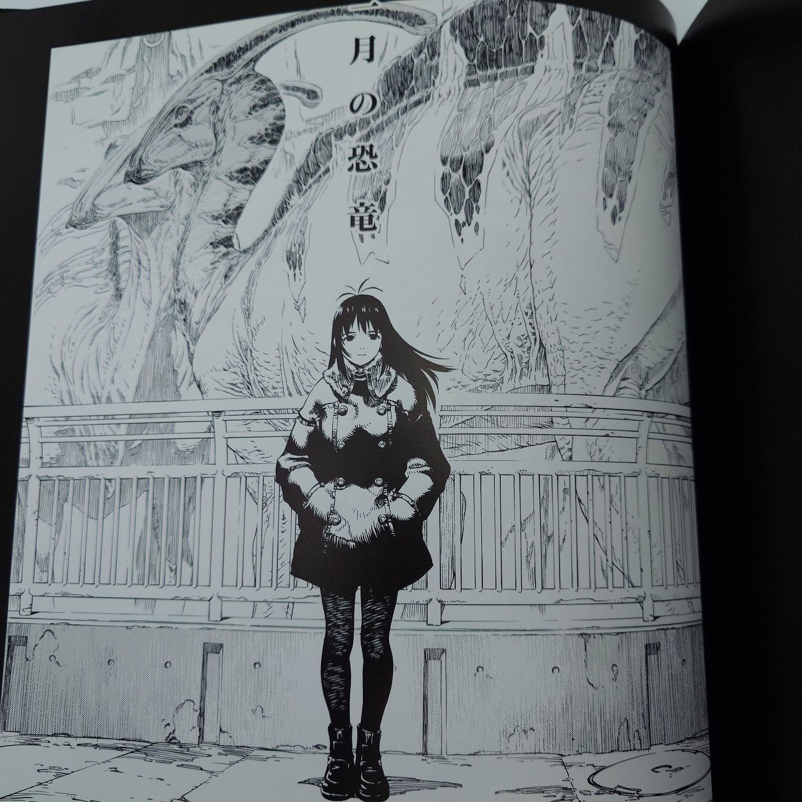 7 田中久仁彦 画集 龍骨 初版 中古本 - メルカリ