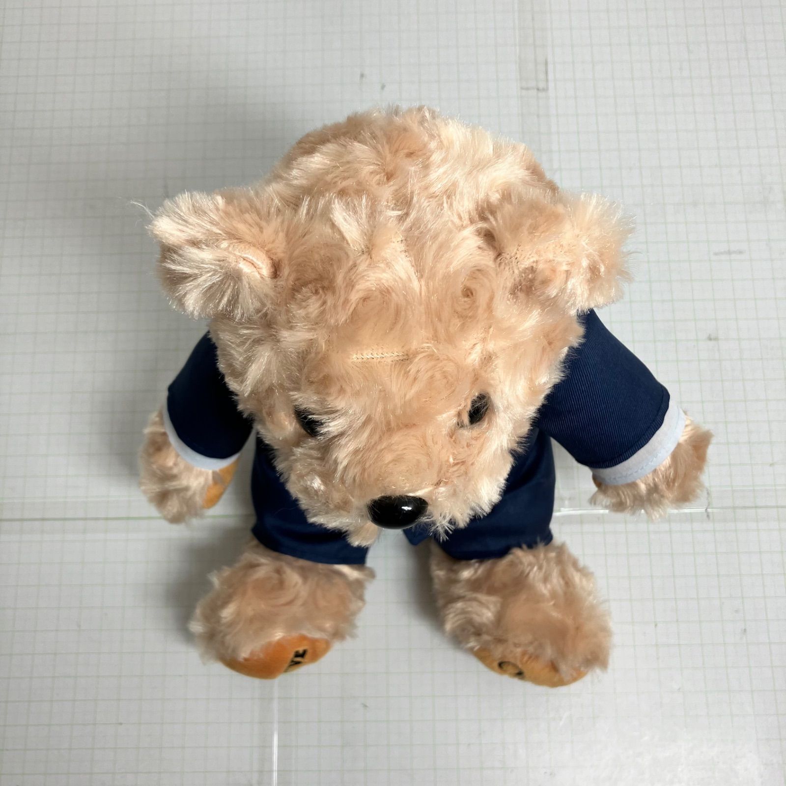 名探偵コナン　諸伏高明　テディベア　テディー 瀬戸店】テディベア(諸伏高明ver.) 劇場版『名探偵コナン 隻眼の残像