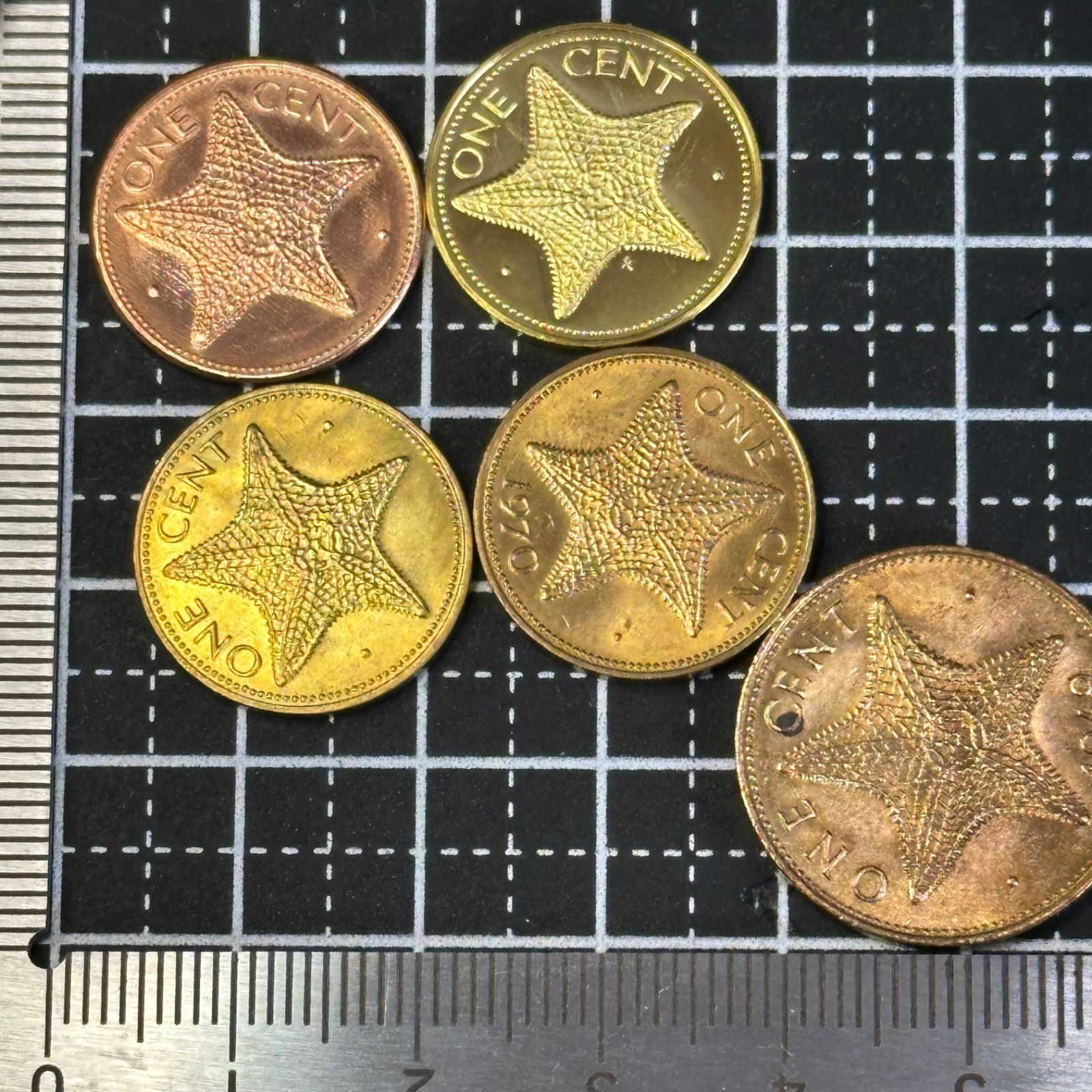 海外古銭】バハマ 1セント硬貨 ヒトデ（スターフィッシュ）意匠