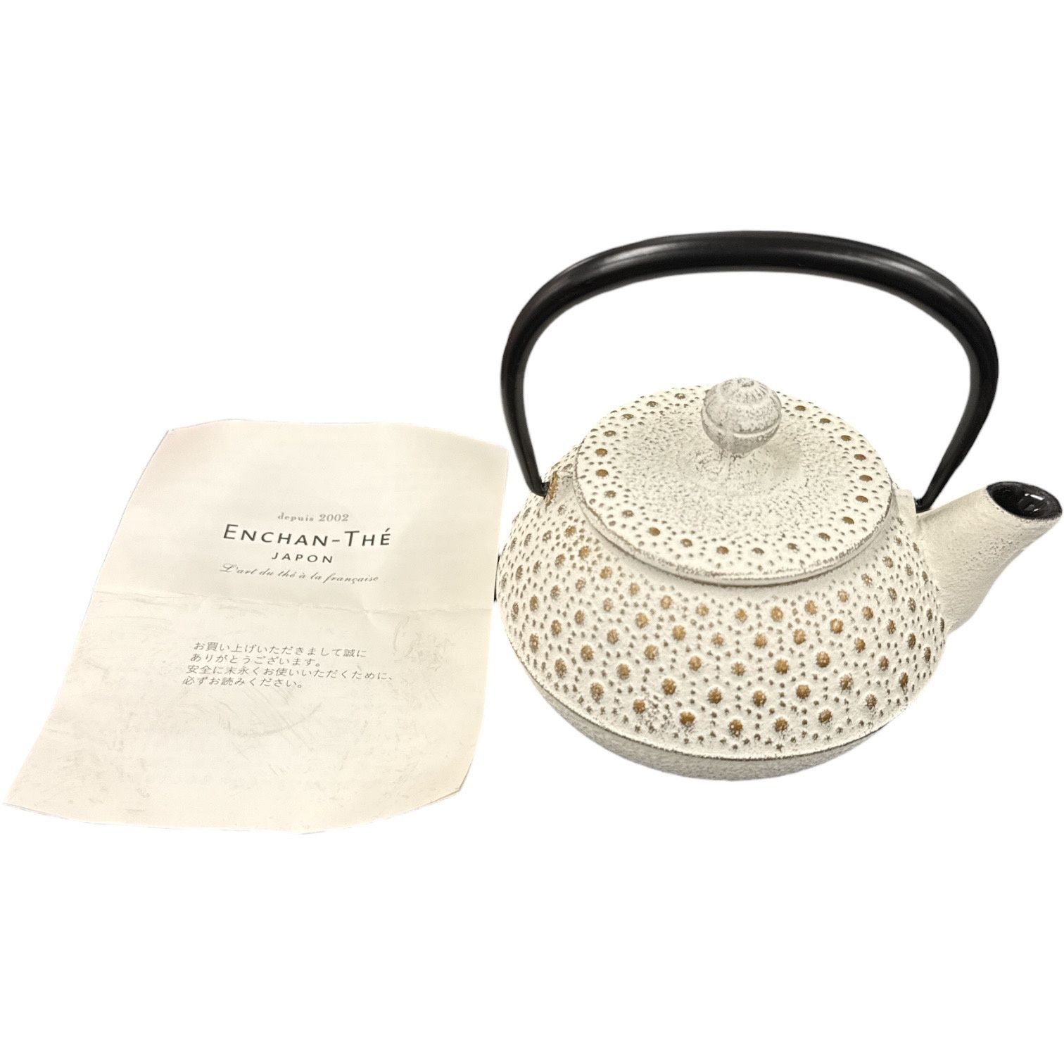 CG67 D ENCHAN-THE JAPON アンシャンテジャポン 南部鉄瓶 カラーポット