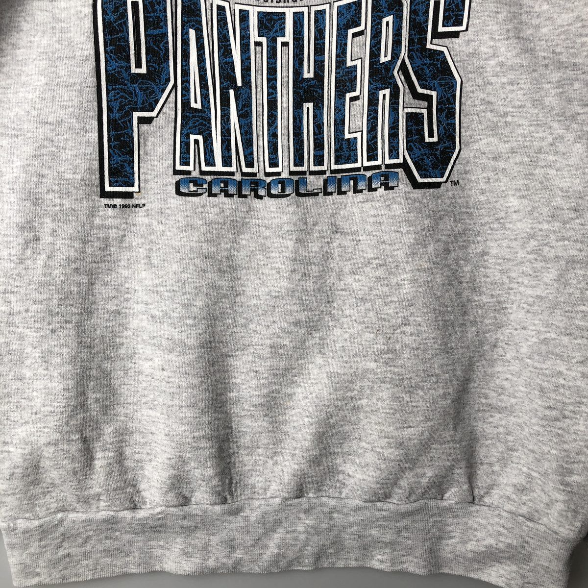 古着 90年代 NFL CAROLINA PANTHERS カロライナパンサーズ プリント