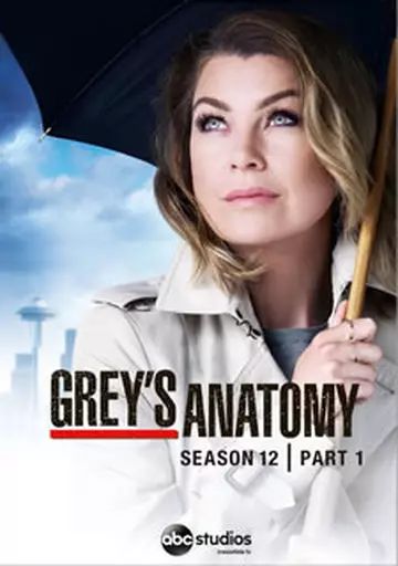 グレイズ・アナトミー  Season 1-12 DVD-BOX グレイズ・アナトミー Season 1-12 DVD-BOX 【公式通販】