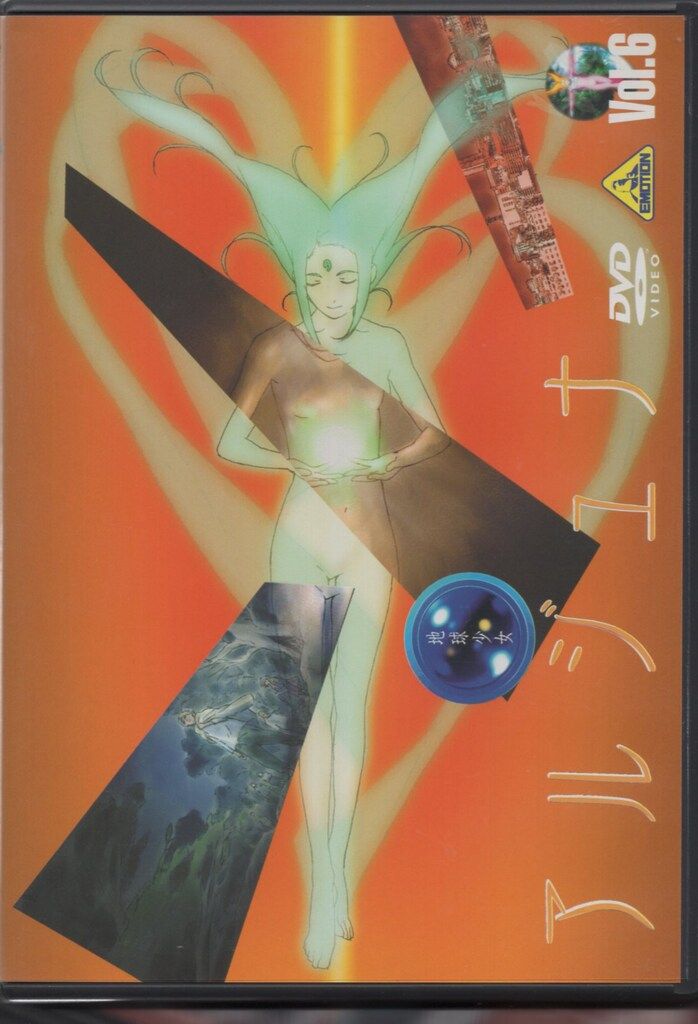アニメDVD 地球少女アルジュナ Director's Edition 全6巻 セット