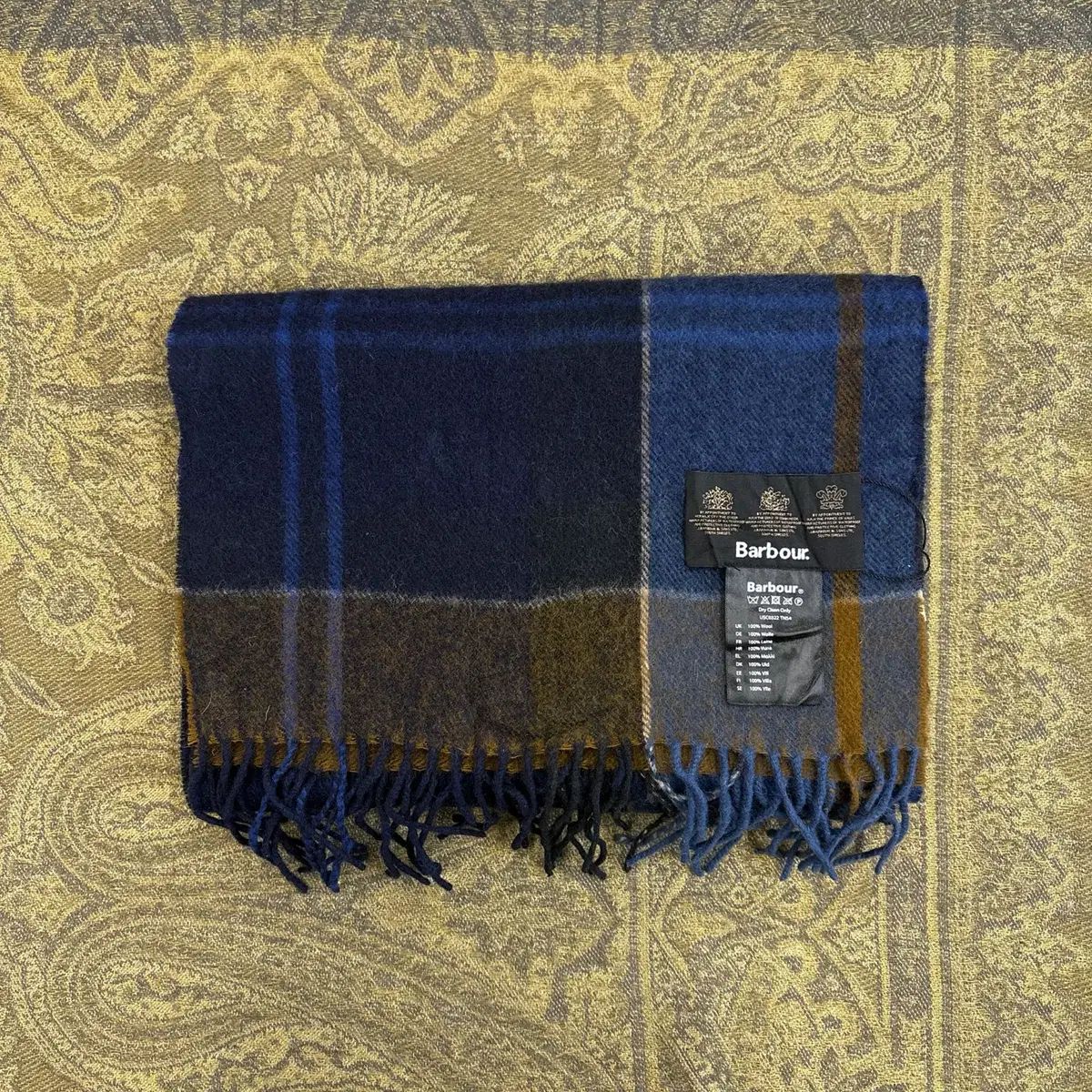 30000⤵️❇懸崖！ステルクリア・コロラタ 塊根10cm以上 30000⤵️❇懸崖！ステルクリア・コロラタ 塊根10cm以上