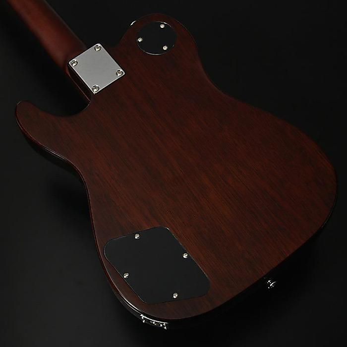 Bacchus(バッカス) / BARON-JAZZ Alnico NA エレキギター [ケース付属