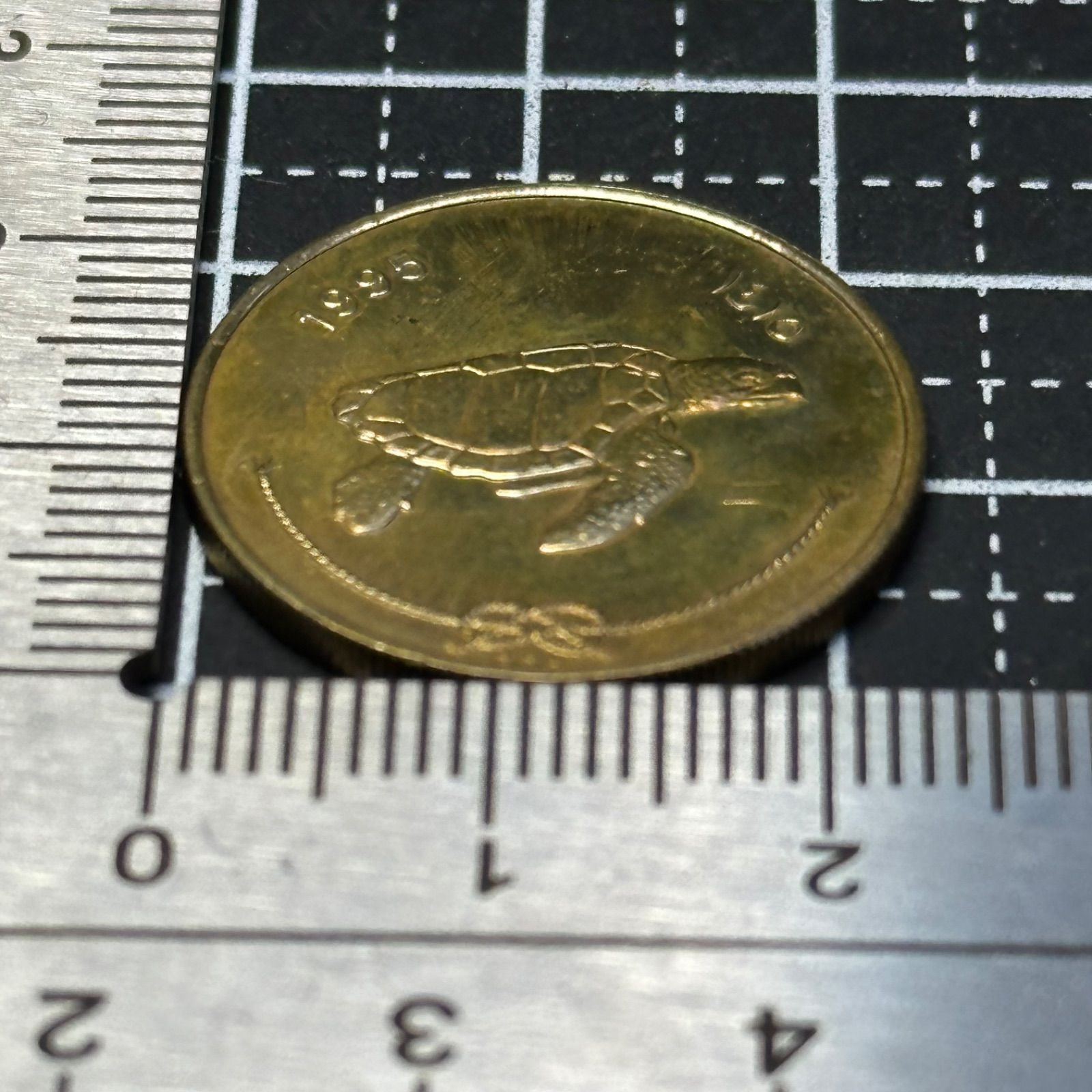 外国コイン】1995年 モルディブ 50ラーリ貨 ウミガメ意匠／熱帯の楽園が育んだ海洋コイン 美トーン 個体差有 499 - メルカリ