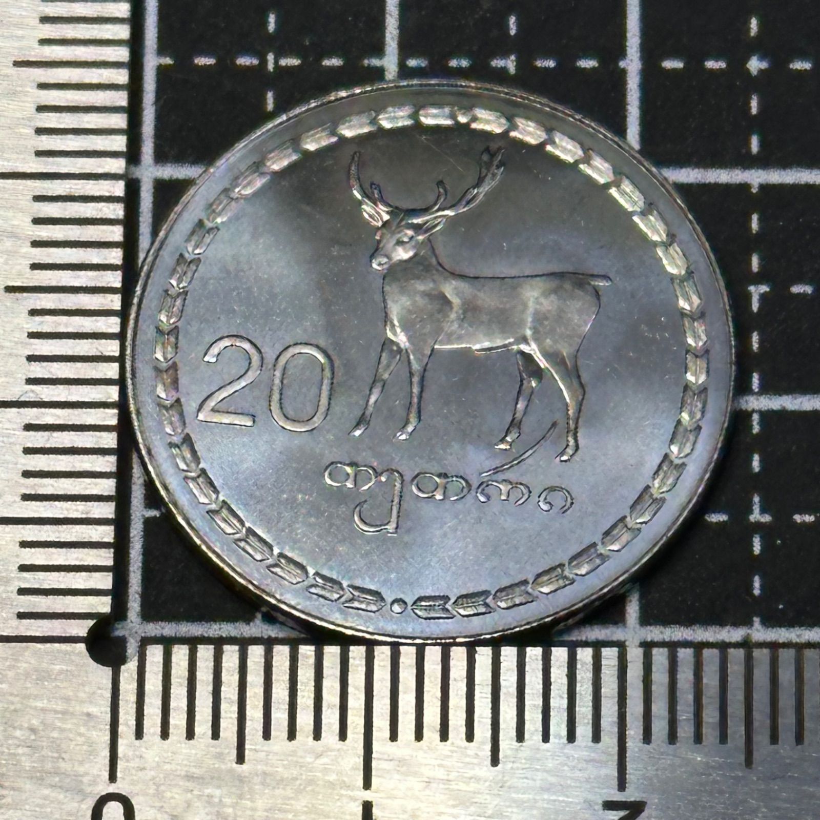 1993年 ジョージア 20テトリ白銅貨】鹿デザイン／独立初期コイン／大阪造幣局製／旧ソ連圏硬貨 504 - メルカリ