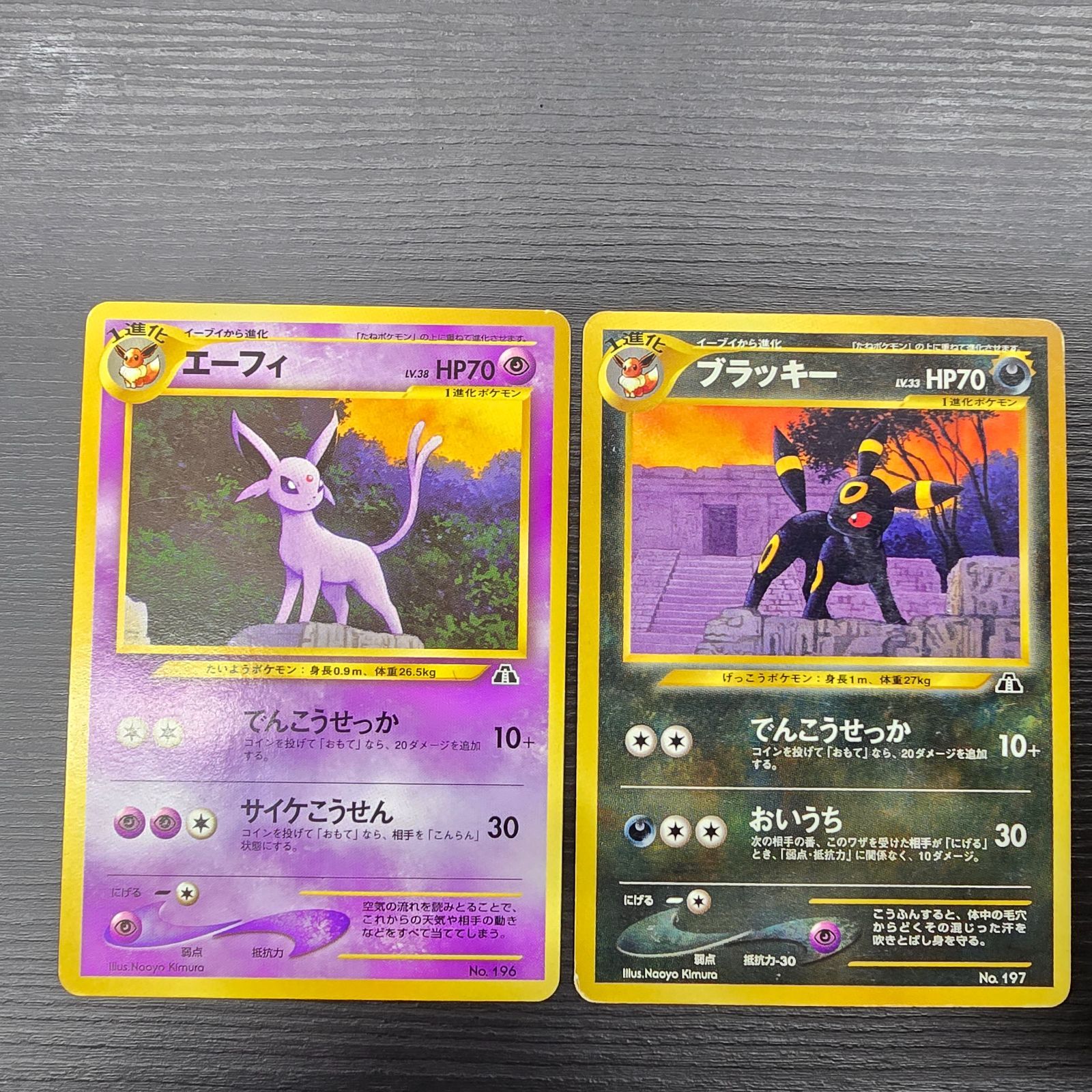 ポケモンカードゲーム 旧裏 プレミアムファイル2 プロモ ブラッキー LV