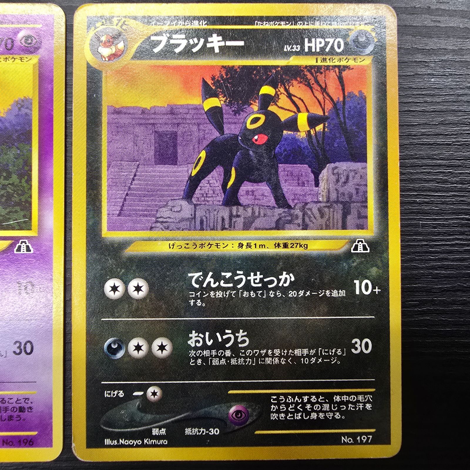 ポケモンカードゲーム 旧裏 プレミアムファイル2 プロモ ブラッキー LV