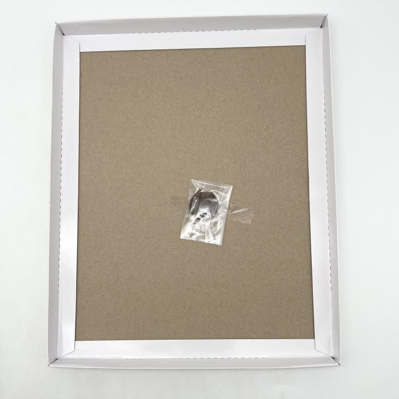 中古】開封 BoC'z we＼n ボウシーズウィー 公式キャラファイングラフ