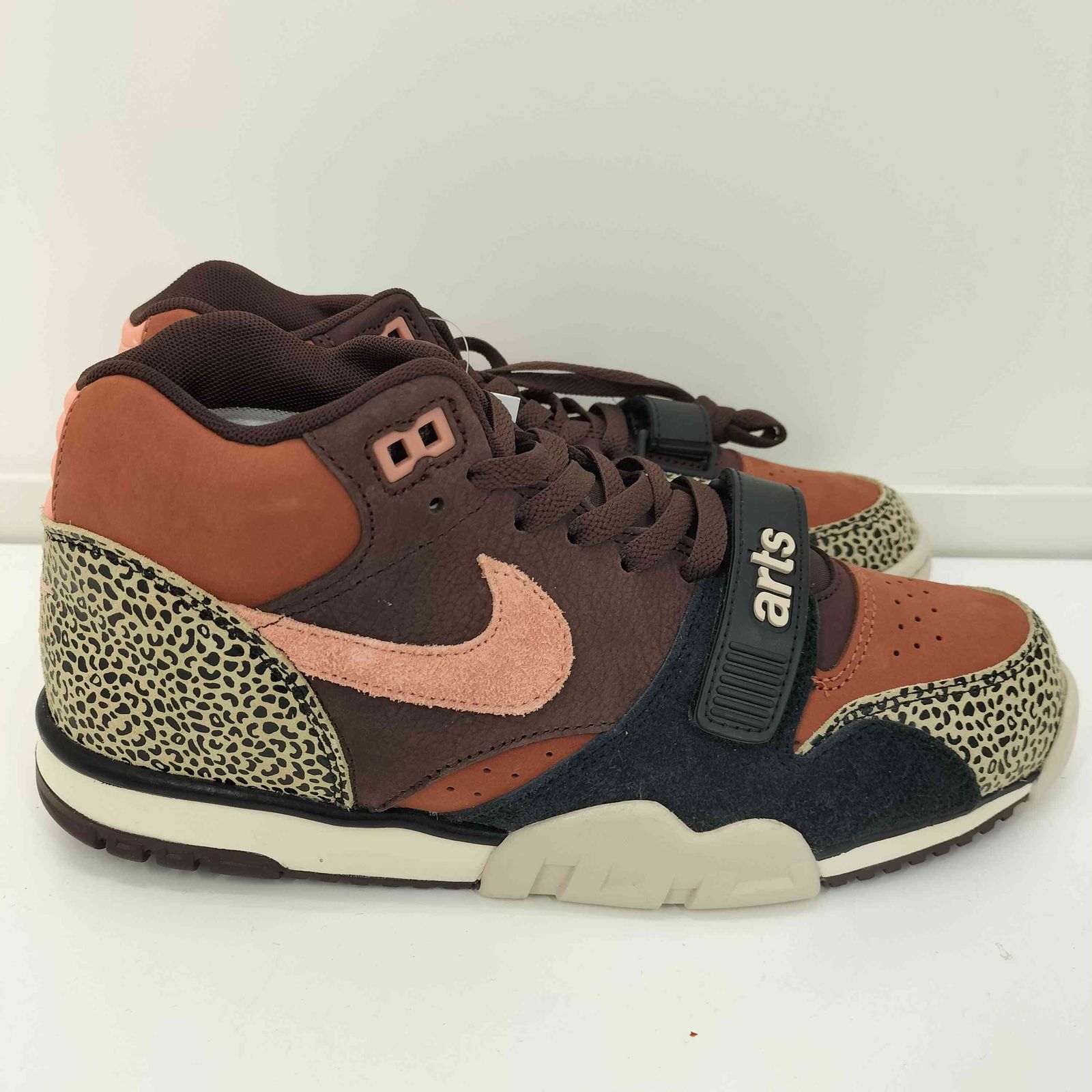 ナイキスケートボーディング NIKE SB ×Arts Rec Air Trainer 1 Earth