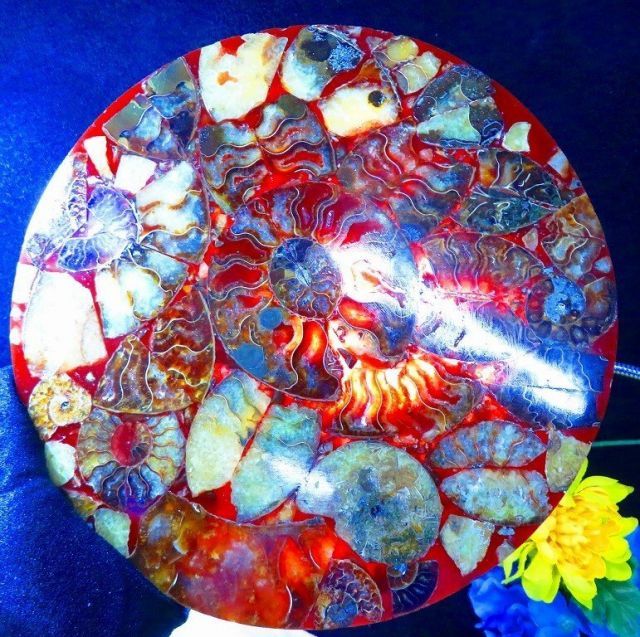 数万個の中の一個☆天然マダガスカル産 ☆ 縫合線オパールアンモナイト