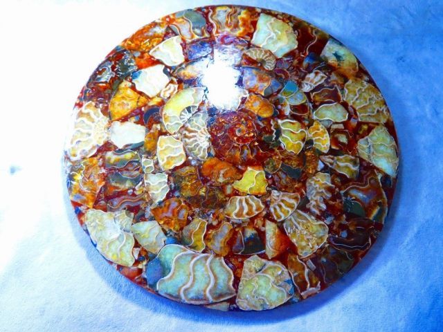 マダガスカル産　縫合糸　アンモナイト　化石　特大型　最高位 数万個の中の一個☆天然マダガスカル産 ☆ 縫合線オパールアンモナイト