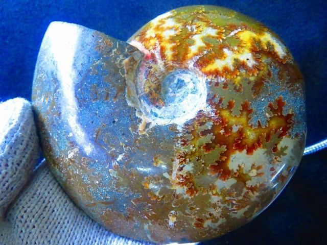 絶品数万個の中の一個☆天然マダガスカル産 ☆ 縫合線オパール