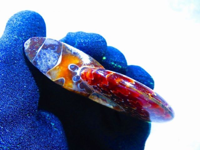 マダガスカル産　縫合糸　アンモナイト　化石　特大型　最高位 マダガスカル産 縫合糸 アンモナイト 化石 特大型 最高位 マダガスカル