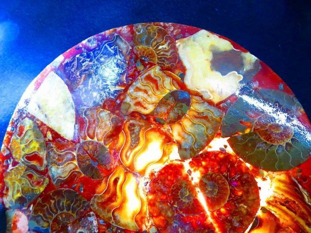 マダガスカル産　縫合糸　アンモナイト　化石　特大型　ハイクオリティ 数万個の中の一個☆天然マダガスカル産 ☆ 縫合線オパールアンモナイト