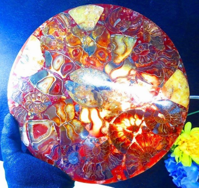 数万個の中の一個☆天然マダガスカル産 ☆ 縫合線オパールアンモナイト