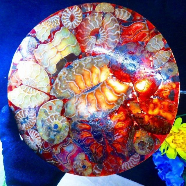 数万個の中の一個☆天然マダガスカル産 ☆ 縫合線オパールアンモナイト