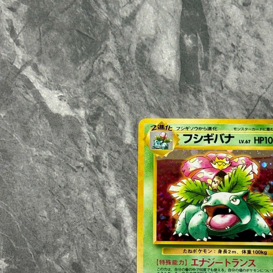 ポケモンカード フシギバナ lv.67 旧裏 とりかえっこプリーズ 全面ホロ ポケモンカード フシギバナ lv.67 旧裏 とりかえっこプリーズ 全面ホロ