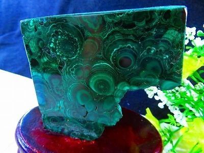 研磨済み☆絶品100A天然マラカイト原石台座付き超巨大436g☆tr27313D-1