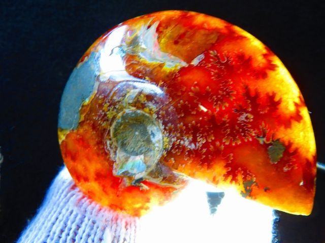 数万個の中の一個☆天然マダガスカル産 ☆ 縫合線オパールアンモナイト