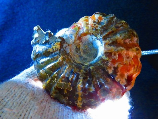 数万個の中の一個☆天然マダガスカル産 ☆ ファッション 縫合線オパール