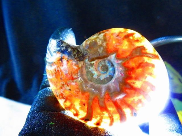 絶品数万個の中の一個☆天然マダガスカル産 ☆ 縫合線オパール