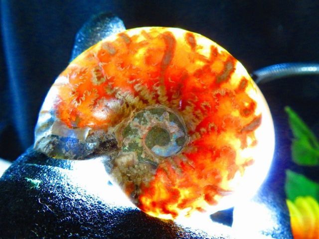 絶品数万個の中の一個☆天然マダガスカル産 ☆ 縫合線オパール