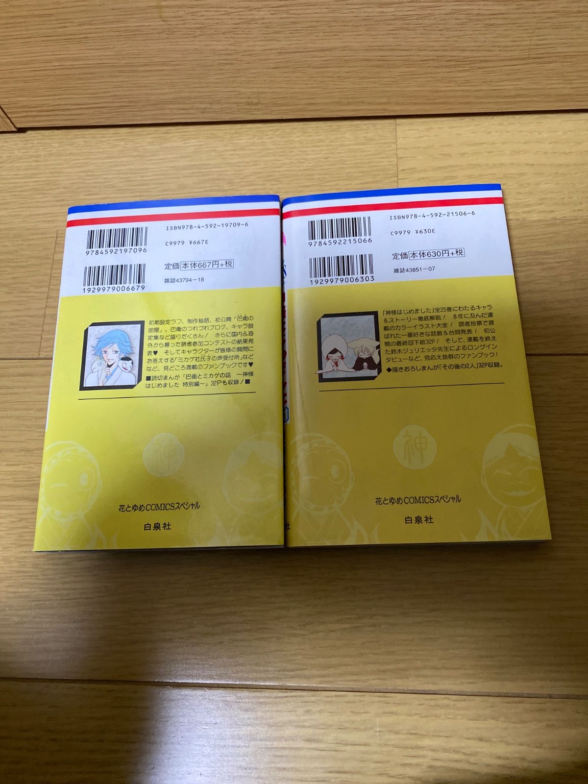 神様はじめました 13.5 25.5 公式ファンブック 鈴木ジュリエッタ